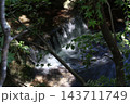 小さな滝 143711749