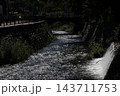 桜の花びらが流れる川 143711753
