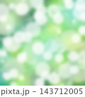 新緑と木漏れ日のイメージイラスト 143712005