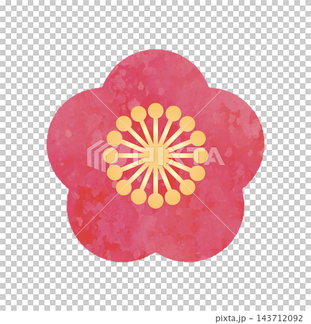 Plum blossom icon, watercolor, New Year's, New Year's card, pine, bamboo, and plum, Hina Matsuri (Girls' Festival), Japanese style, decoration, ornament, pattern, design material Plum blossom icon, watercolor, New Year's, New Year's card, pine, bamboo, and plum, Hina Matsuri (Girls' Festival), Japanese style, decoration, ornament, pattern, design material 143712092