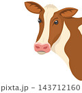 cow head cartoon vector illustration element design 143712160