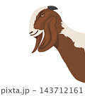 javanese goat  head cartoon vector illustration element design 143712161