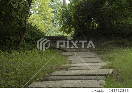 Stone steps pathway winding through lush green trees and grass in a peaceful park 143712358