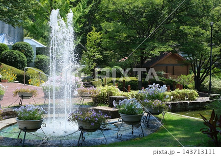 噴水のある植物公園の景色 噴水のある植物公園の景色 143713111