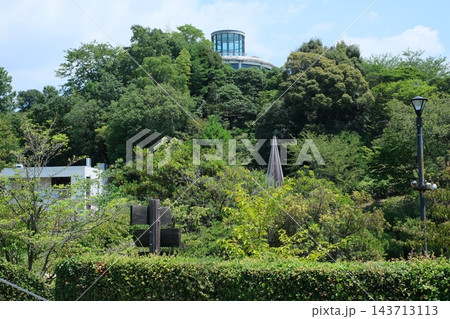 広島市植物公園の景色 広島市植物公園の景色 143713113