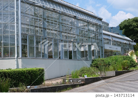 広島市植物公園大温室の景色 143713114
