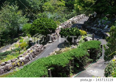 植物公園のロックガーデンの景色 143713119