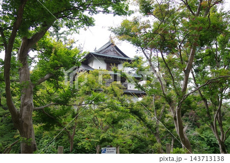 植物園広場から眺めた弘前城櫓の景色 植物園広場から眺めた弘前城櫓の景色 143713138