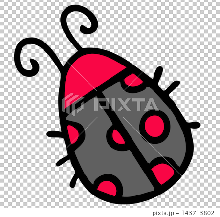 Hand drawn ladybug illustration for animal, insect, decorations, spring time, summer, picnic, park, home yard, stickers, blossom, blooming, patch, fabric, brooch, nature, garden, camping, campfire Hand drawn ladybug illustration for animal, insect, decorations, spring time, summer, picnic, park, home yard, stickers, blossom, blooming, patch, fabric, brooch, nature, garden, camping, campfire 143713802
