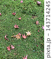 苔の上に散る紅葉の落ち葉 143714245