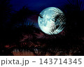 Full Worm blue Moon and silhouette tree on the roof and night sky 143714345