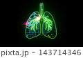global and particle green hydrogen flying inside lung green digital animation and blood vessel with pink energy 143714346