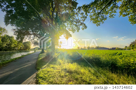 Bright sunlight shines through forest onto tranquil rural routes 143714602