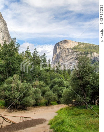 Yosemite Valley in Yosemite National Park, California, USA, with granite cliffs rising above pine forest and a sandy trail in summer Yosemite Valley in Yosemite National Park, California, USA, with granite cliffs rising above pine forest and a sandy trail in summer 143715253