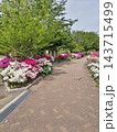 春の花壇と奥へ続く遊歩道 143715499