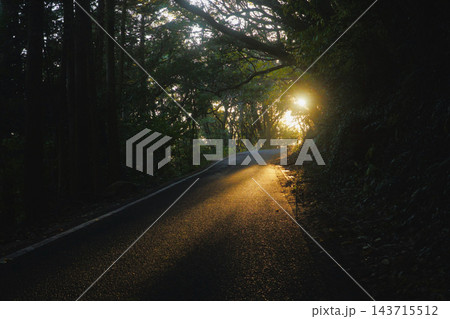 美しい夕陽が差し込む薄暗い山道 美しい夕陽が差し込む薄暗い山道 143715512