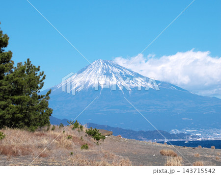 松林と海岸の向こうにそびえる雪化粧の富士山 松林と海岸の向こうにそびえる雪化粧の富士山 143715542