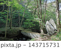 鮫川村天狗橋 143715731