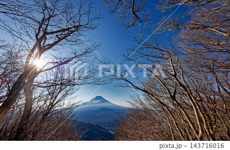 三方分山から見る早春の富士山 三方分山から見る早春の富士山 143716016