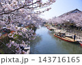 桜満開の川に浮かぶ船　柳川の川下り 143716165