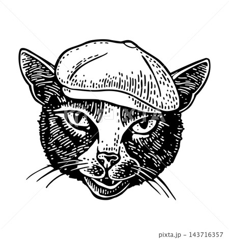 Cat batter dressed in a peaked cap. Vintage black engraving illustration. ng Cat batter dressed in a peaked cap. Vintage black engraving illustration. ng 143716357