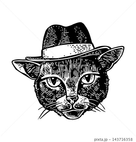 Cat gentleman dressed in a hat. Vintage black engraving illustration. 143716358
