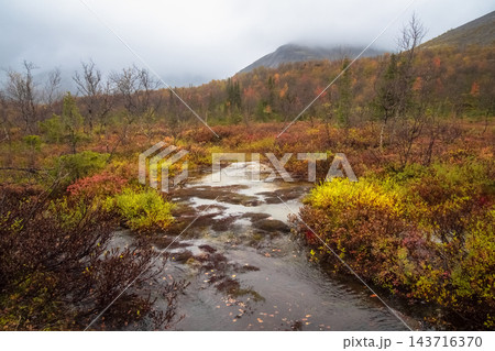 Scenic Horizontal Subarctic Landscape with Winding Creek and Colorful Autumn Tundra Scenic Horizontal Subarctic Landscape with Winding Creek and Colorful Autumn Tundra 143716370