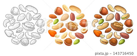 Vintage vector engraving circle set hazelnut, peanut, almond, cashew, pistachio, walnut. 143716450