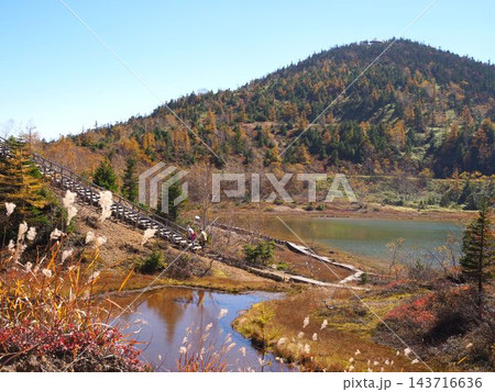 草津白根山の弓池と秋色に染まる山肌、遊歩道のある高原風景 草津白根山の弓池と秋色に染まる山肌、遊歩道のある高原風景 143716636
