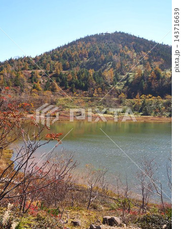 草津白根山の弓池と秋色に染まる山肌、遊歩道のある高原風景 143716639