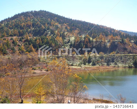 草津白根山の弓池と秋色に染まる山肌、遊歩道のある高原風景 草津白根山の弓池と秋色に染まる山肌、遊歩道のある高原風景 143716643