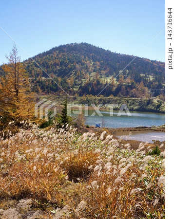 草津白根山の弓池と秋色に染まる山肌、遊歩道のある高原風景 草津白根山の弓池と秋色に染まる山肌、遊歩道のある高原風景 143716644