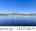 富士川から見る新幹線と富士山 143716679