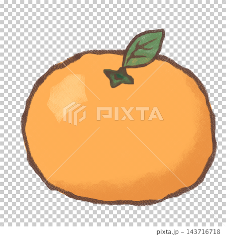 手描きのみかんのイラスト かわいいシンプルな柑橘系フルーツ素材 手描きのみかんのイラスト かわいいシンプルな柑橘系フルーツ素材 143716718