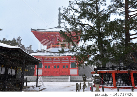 高野山　雪の根本大塔と三鈷の松 143717426