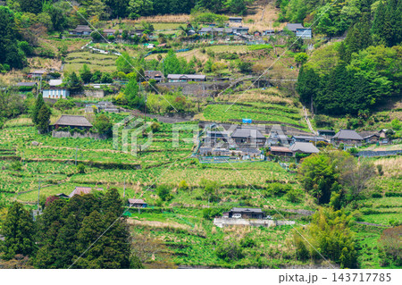 【重要伝統的建造物群保存地区】東祖谷山村落合　初夏の風景　中上地区の展望所からの眺望3　徳島県三好市 143717785