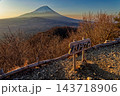 精進湖・パノラマ台から見る朝の富士山 143718906