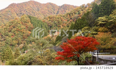 紅葉に染まる宇奈月の山並みと真っ赤なもみじ 富山県黒部市 紅葉に染まる宇奈月の山並みと真っ赤なもみじ 富山県黒部市 143718929