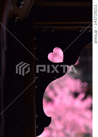 ハートの梅の花　ピンクのハートマーク 143719211