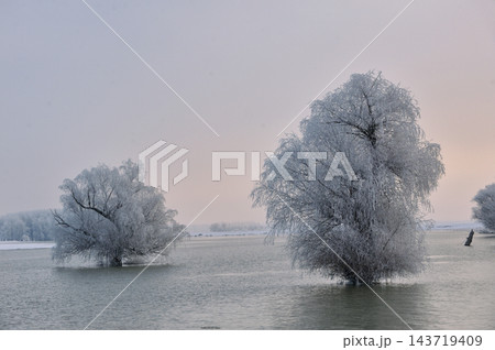 Winter Sunrise and Danube river Winter Sunrise and Danube river 143719409