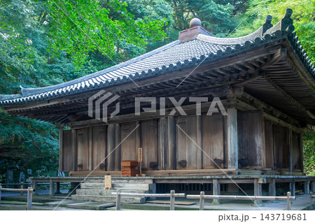 富貴寺大堂と新緑 富貴寺大堂と新緑 143719681