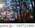 京都の大徳寺の美しい庭園の紅葉 143721466