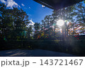 京都の大徳寺の美しい庭園の紅葉 143721467