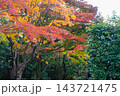 京都の大徳寺の美しい庭園の紅葉 143721475