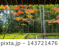 京都の大徳寺の美しい庭園の紅葉 143721476