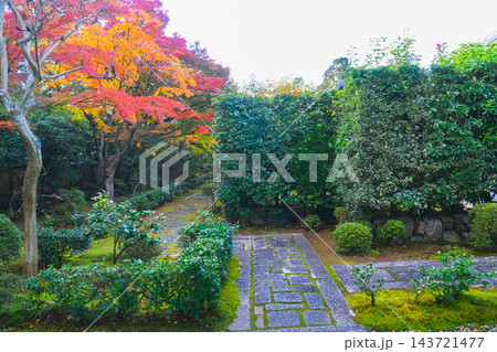 京都の大徳寺の美しい庭園の紅葉 京都の大徳寺の美しい庭園の紅葉 143721477