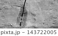 Monochrome Cracked Concrete Wall Texture with Vertical Fissure 143722005
