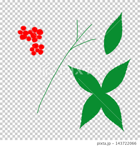 Hand-painted Ardisia crenata plant parts set (fruit, stem, and leaves, four leaves) Hand-painted Ardisia crenata plant parts set (fruit, stem, and leaves, four leaves) 143722066
