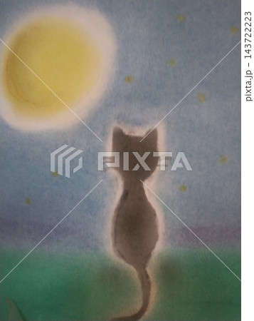 月夜の黒猫 月夜の黒猫 143722223