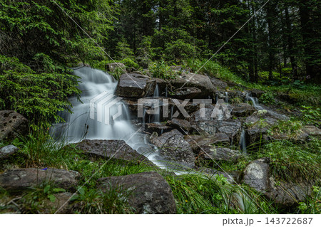 Forest Mountain Waterfall Forest Mountain Waterfall 143722687